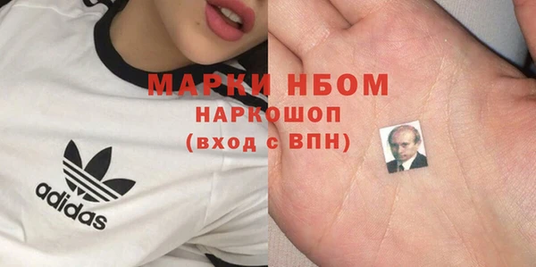 ешки Арсеньев