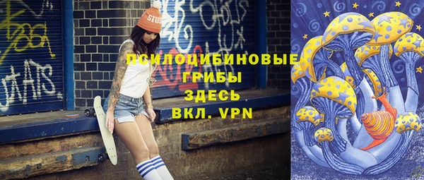 PSILOCYBIN Армянск