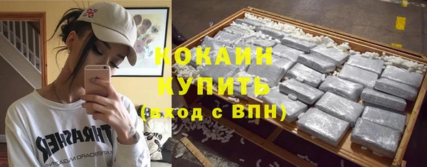PSILOCYBIN Армянск